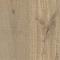 Weathered like driftwood and shaped by dry mountain winds, Drifter carries a cool, grey-washed tone that feels untamed.