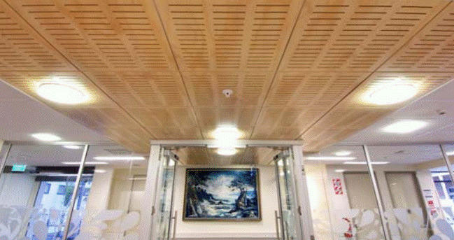 ceiling application